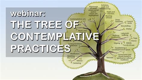 Acmhe Webinar The Tree Of Contemplative Practices With Maia Duerr