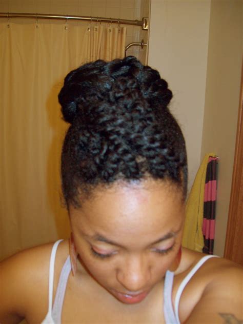 Danni Nicole Natural Hair Style Two Strand Twist N Bun