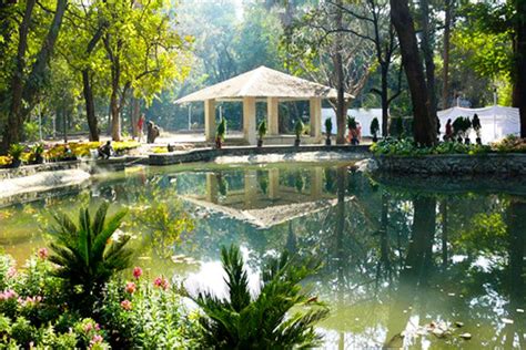 Lotus Ponds And Serene Greenery Turn Your Phone Off And Chill Out At