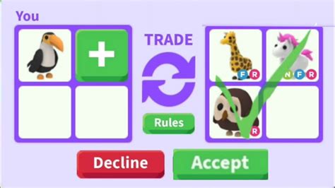 What Do People Trade For A Toucan Roblox Adopt Me Youtube