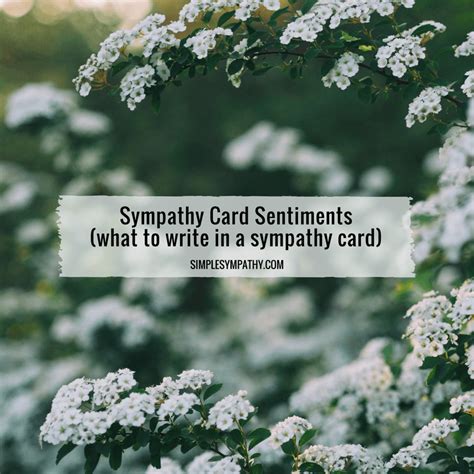These examples should help to show you the sort of sympathy messages and sentiments that you can express in your card. Sympathy Card Sentiments: What to Write in a Sympathy Card - Simple Sympathy