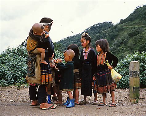 Blue Hmong (Miao) | Thailand. Blue Hmong village. 1984 slide… | Flickr