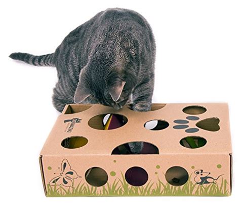 Cat Amazing Best Interactive Cat Toy Ever Treat Maze And Puzzle Feeder