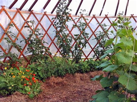 6 Cheap Diy Greenhouse Designs Inspired By Traditional Shelters