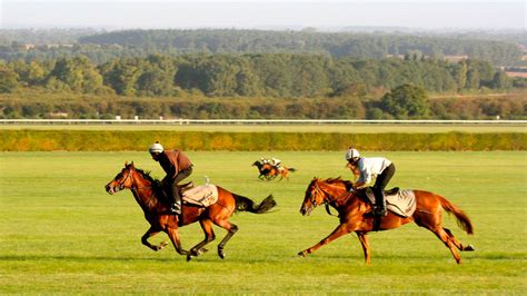 discover newmarket visit east of england