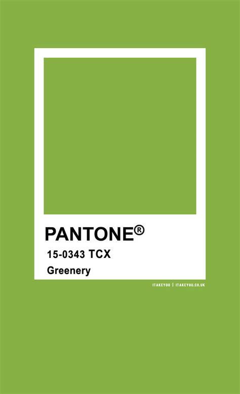 Greens In 2020 Pantone Colour Palettes Pantone Pantone Palette Images
