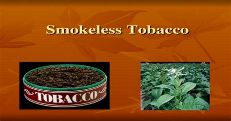 Smokeless Tobacco Types Of Smokeless Tobacco Chewing Tobacco Snuff