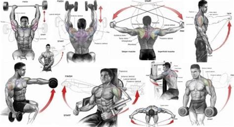 The 9 Best Shoulder Exercises Of All Time