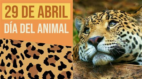 Este 29 De Abril Celebramos En Argentina El Día Del Animal Youtube