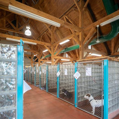 North Royalton Animal Shelter at Josephine Sells blog