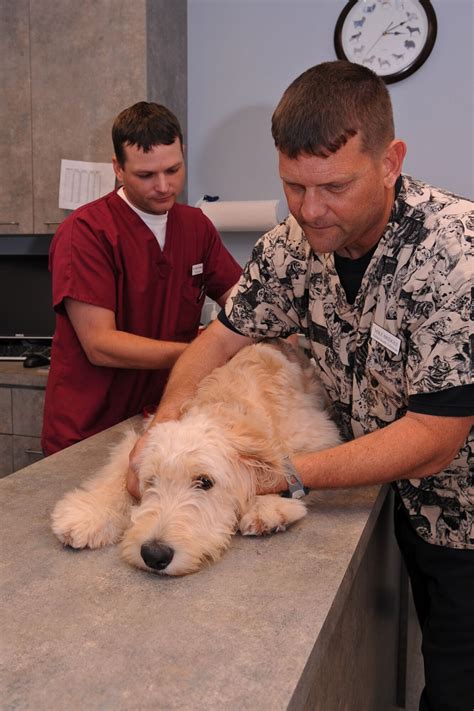 Vet Clinic Provides New Services Barksdale Air Force Base Display