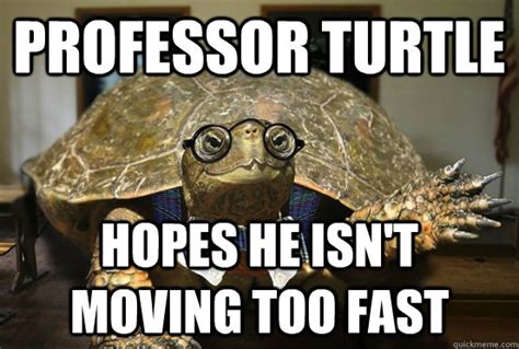 Crazy Turtle Lady Because Cats Are Too Mainstream Professor Turtle