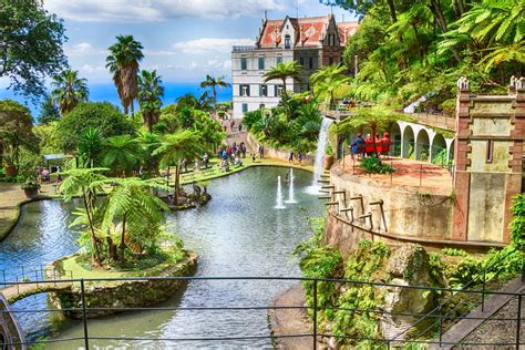 Madeira Reisen Günstig Urlaub Buchen Auf Reisede