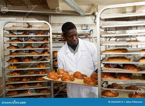 African Baker Placing Tray With Baked Rolls On Trolley Stock Image Image Of Food Bakery