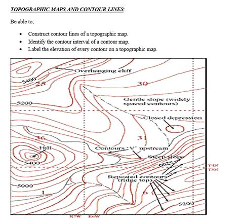 Topographic Map With Contour Lines Map Vector