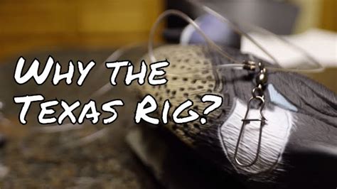Why Use The Texas Rig For Duck Decoys Youtube