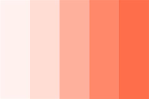 Outrageous Orange Color Palette