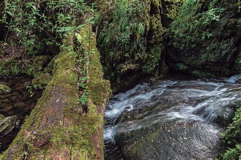 Los Lugares Más Sorprendentes De La Reserva De La Biósfera El Cielo En