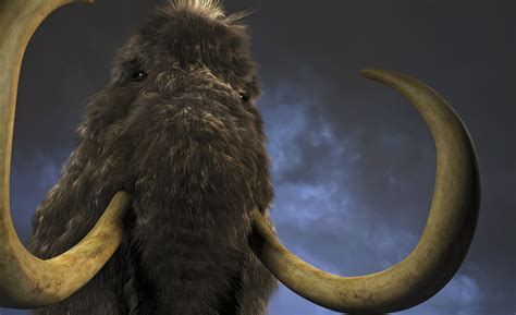 An Animal With Large Horns Standing In Front Of A Cloudy Sky