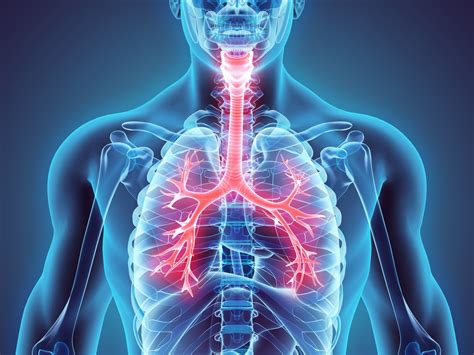 Troubles respiratoires définition cause symptômes traitement