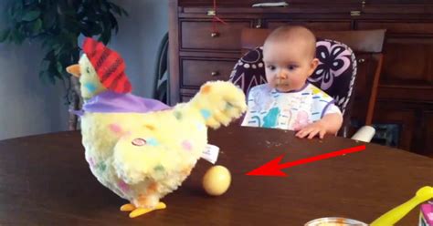 Obligar a un niño a terminarse la comida que se pone en su plato, es obligarle a comer más de lo que necesita. La gallina pone huevos en la mesa y le da un choque al niño. Esto es de lo más tierno que veo ...
