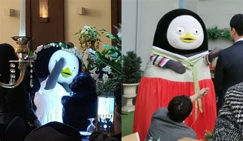 Popular Penguin Character Pengsoo Hilariously Participates In Wedding
