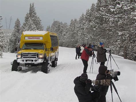 36 Hour Winter Yellowstone Tour From Salt Lake City Yellowstone Tours