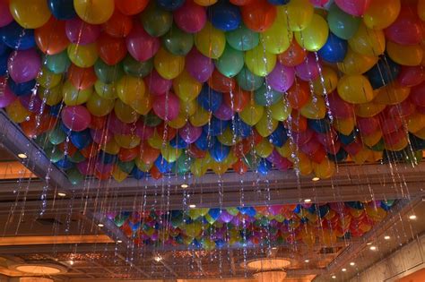 Ceiling Décor · Party And Event Decor · Balloon Artistry Balloon