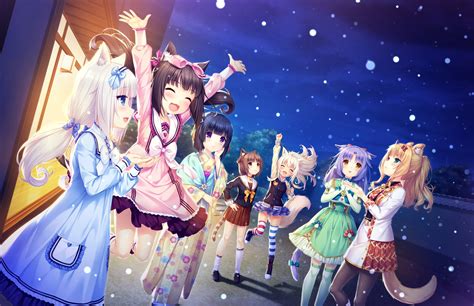 Coconut Nekopara Azuki Nekopara Minazuki Shigure Cinnamon Nekopara Nekopara Maple