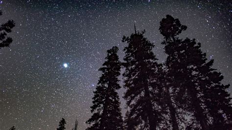 Starry Sky Trees Night Stars Shine Shine Picture Photo Desktop