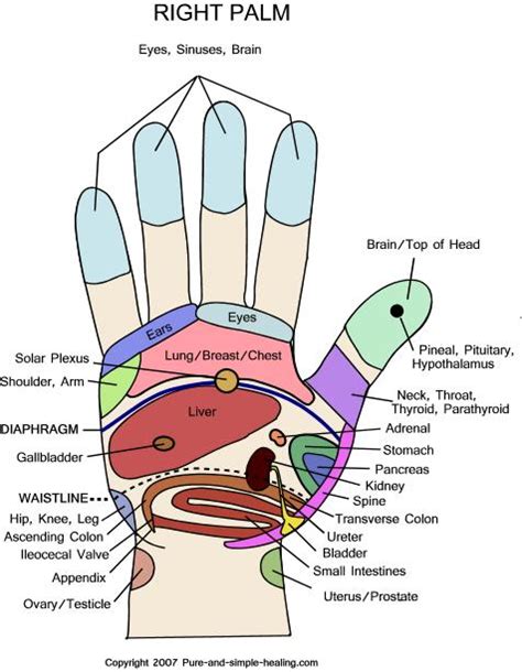 Know Your Hand Pressure Point Hand Reflexology Chart