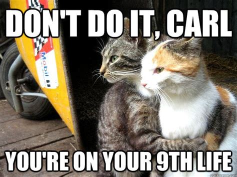 The 50 funniest grumpy cat memes complex. Funny Cat Meme Pictures, Photos, and Images for Facebook, Tumblr, Pinterest, and Twitter