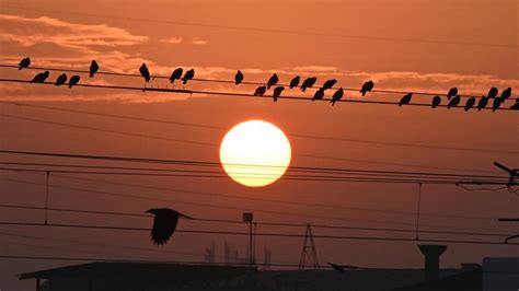 Spice of Life | Morning larks vs night owls, living it up right