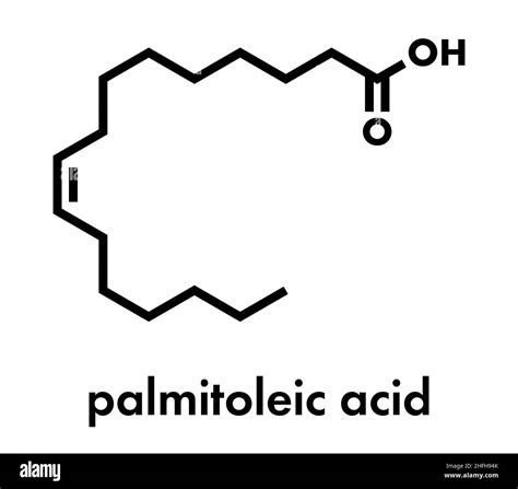 Palmitoleic Acid Omega 7 Fatty Acid Molecule Skeletal Formula Stock