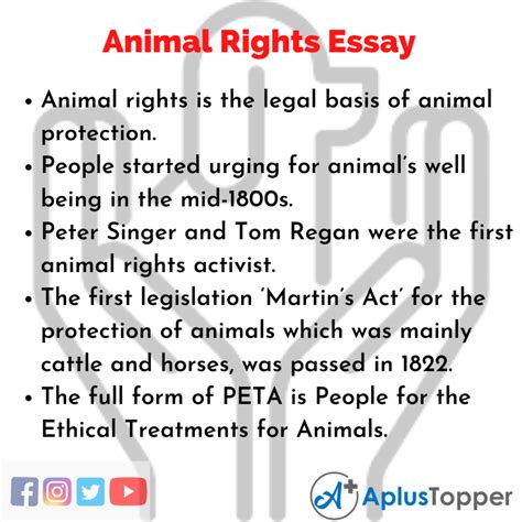 Animal Right Essay Essay On Animal Right For Students And Children In