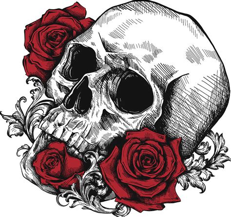 A Human Skull With Roses On White Background Digital Art By Dean