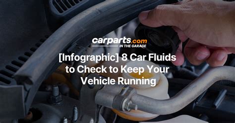 Infographic 8 Car Fluids To Check To Keep Your Vehicle Running In