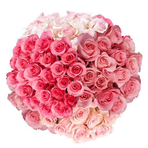 Globalrose 50 Stems Fresh Cut Pink Roses Delivery For Valentines