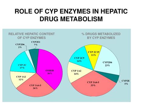 PPT ROLE OF CYP ENZYMES IN HEPATIC DRUG METABOLISM PowerPoint
