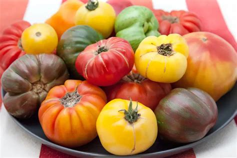 Growing Heirloom Tomatoes In Pots Diy Gardens