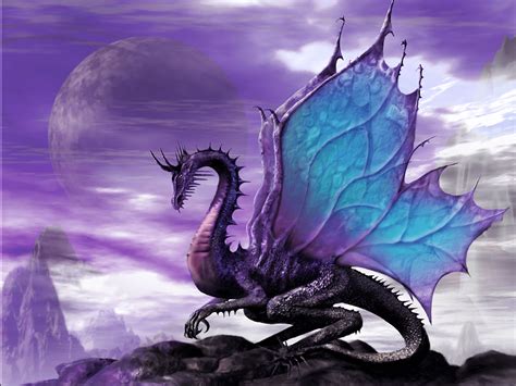 Beautiful Dragon Wallpapers Top Free Beautiful Dragon Backgrounds