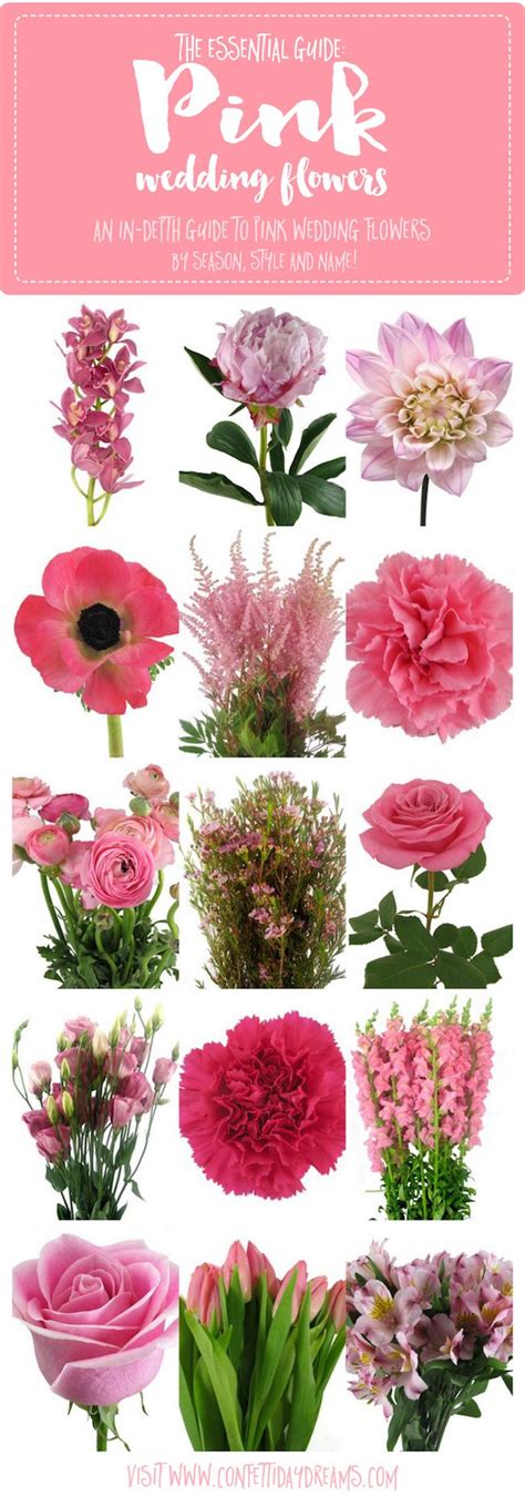 Essential Pink Wedding Flowers Guide Names Seasons Pics Wedding Flower Types Pink Wedding