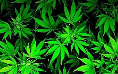 Weed Wallpapers Stoner Neon Awesome 4k Cool