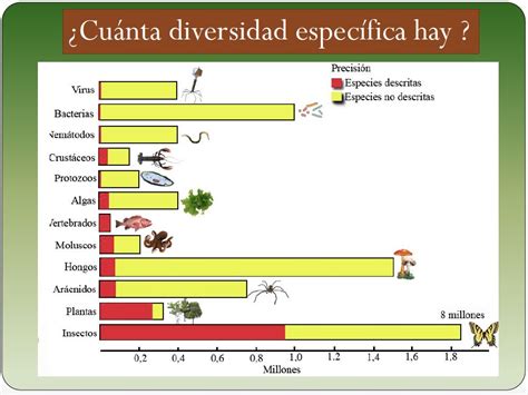 Bilingual Natural Sciences By The Bgteacher Tema 7 La Diversidad De