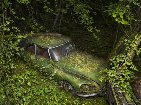 11 Pictures Of Cars Decaying In Nature Abandoned Cars Abandoned Old