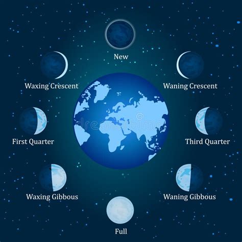 Basic Phases Of The Moon Stock Vector Illustration Of Light 88804656