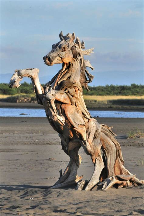 30 Best Images About Driftwood Sculptures On Pinterest Driftwood
