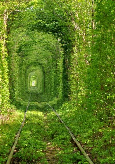The Tunnel Of Love A Place Lost In Time