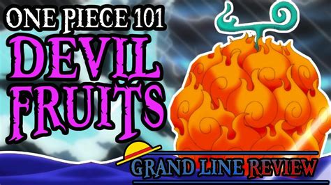 Devil Fruits Explained One Piece 101 Youtube