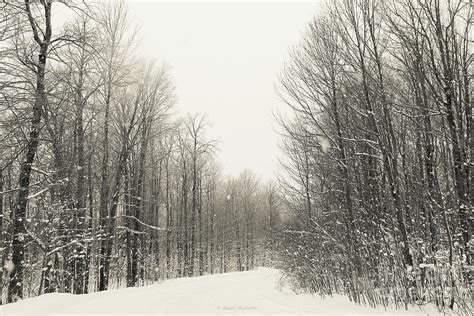 Ironwood Michigan Photograph By Michelle Ressler Fine Art America